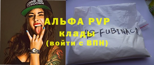 индика Армянск