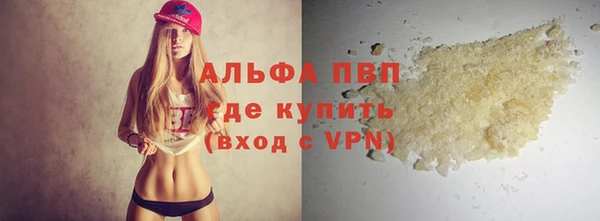 индика Армянск